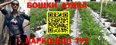 мдпв Дубна