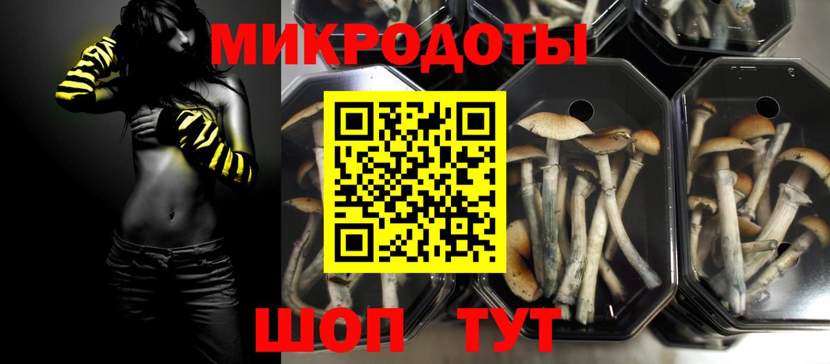 Мирный  магазин  наркотиков  Вход с VPN  Псилоцибиновые грибы Cubensis 
